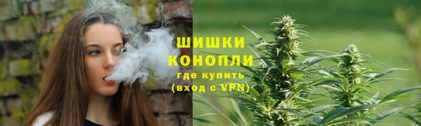 не бодяженный Арсеньев