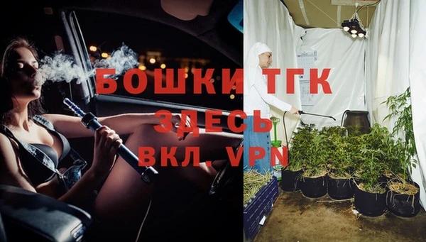 не бодяженный Арсеньев