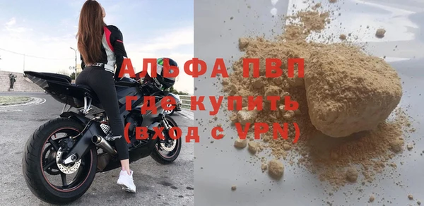прущие грибы Балахна