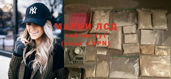 прущие грибы Балахна