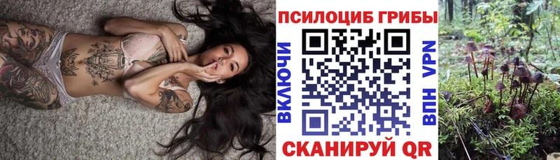 Псилоцибиновые грибы Cubensis  сколько стоит  Волхов 