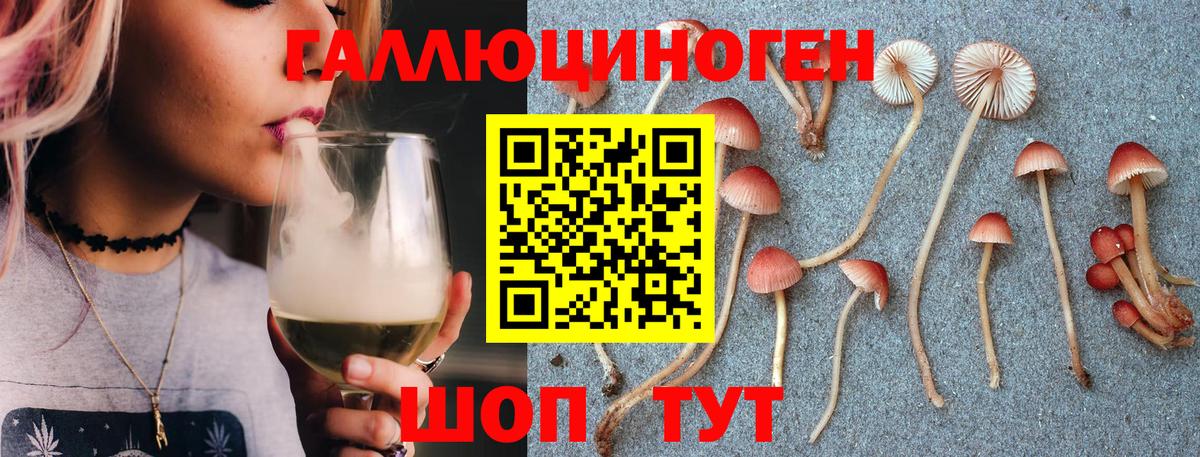 Галлюциногенные грибы Psilocybe Волхов